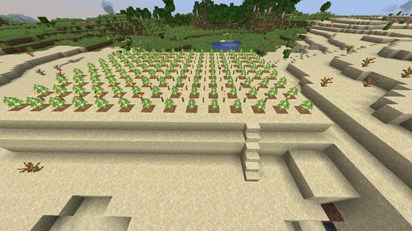 Plant a Tree in Minecraft